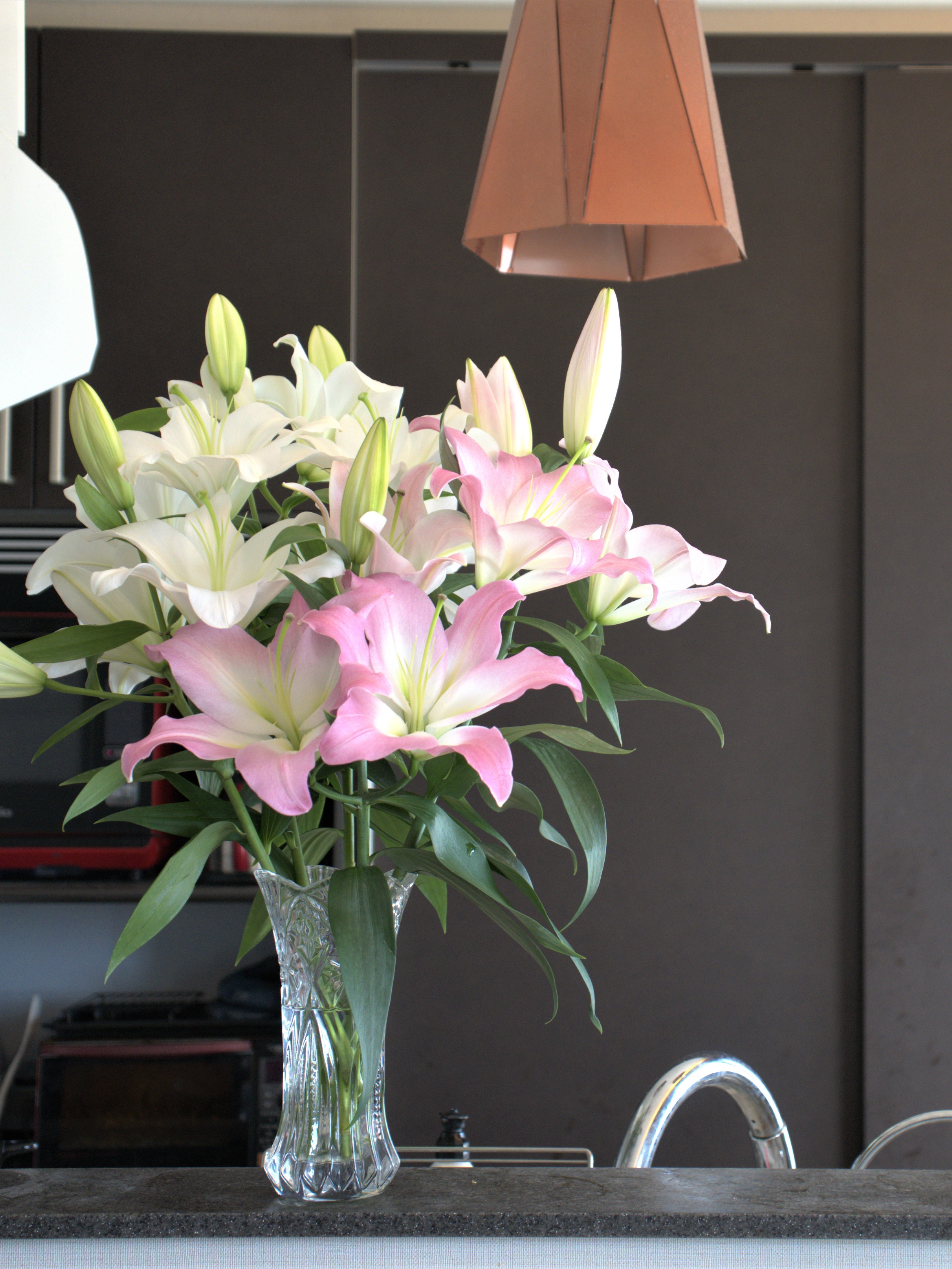 自動更新】blij！ユリと暮らす定期便 | 百合の滝沢 オンライン